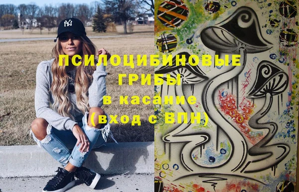 меф Белокуриха