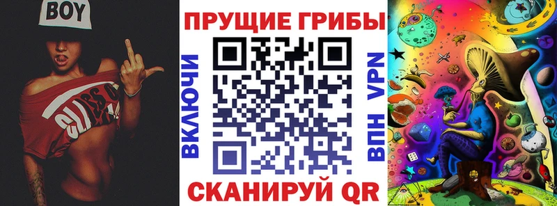Галлюциногенные грибы Psilocybine cubensis blacksprut вход Красноперекопск